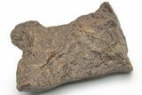 Chondrite Meteorite ( g) - Western Sahara Desert #223103-1